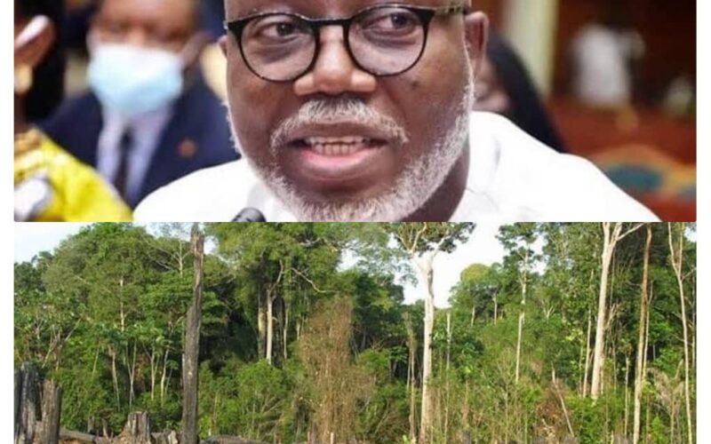 Ondo Governor Warned: Ethnic Nepotism and Enabling Illegal Logging in Ikale Forests Risk Crisis And Political Downfall